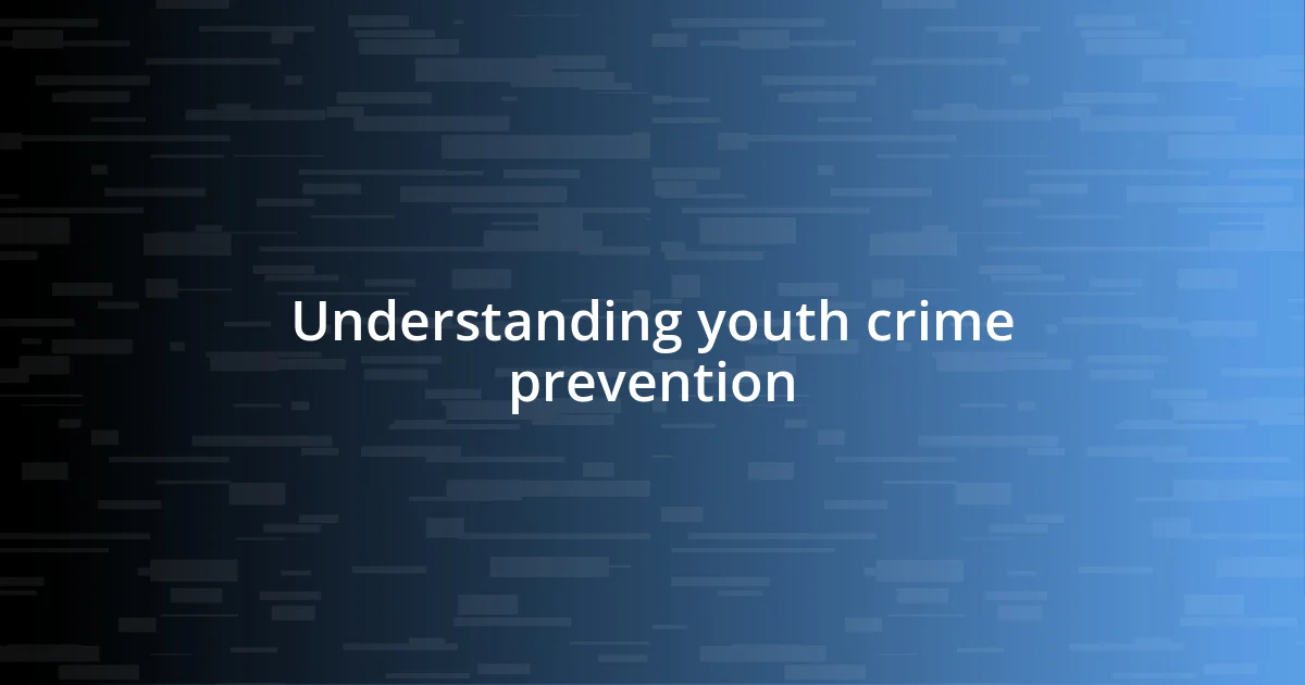 Understanding youth crime prevention